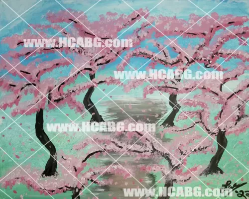 Cherry Blossoms