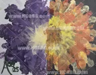 Flower Bloom
