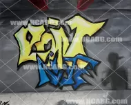 Paint Night Vandal